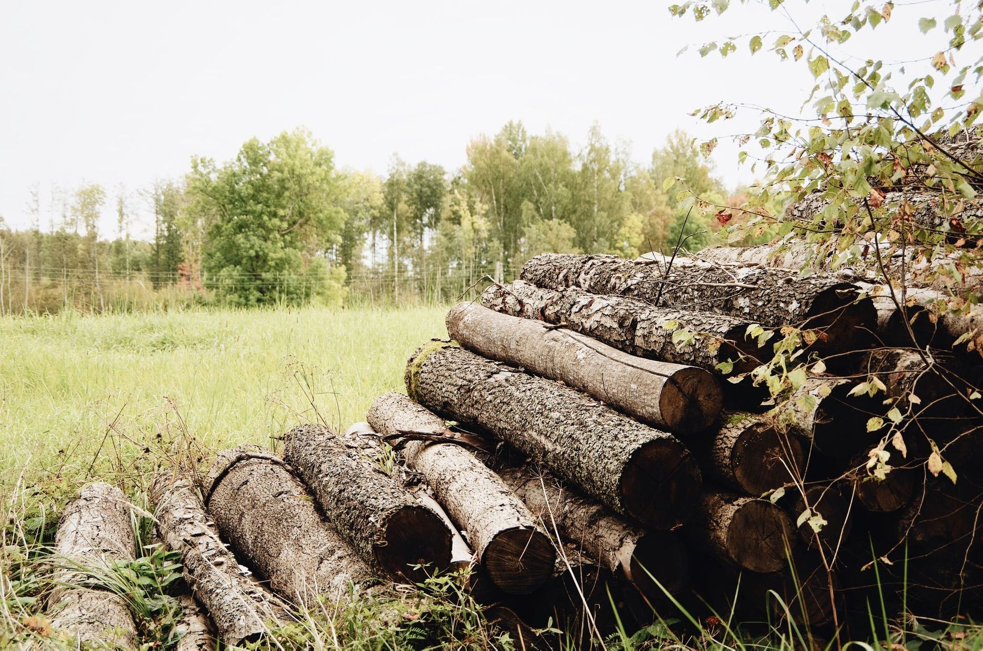 Centralized logging solution